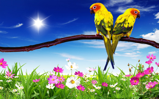 501785 (a): :1920x1200